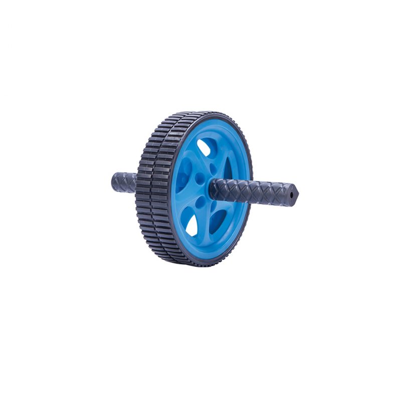 EXERCISE WHEEL DOUBLE LS3160B,EXERCISE WHEEl for sale in bahrain,WHEEL DOUBLE,WHEEL DOUBLE in bahrain